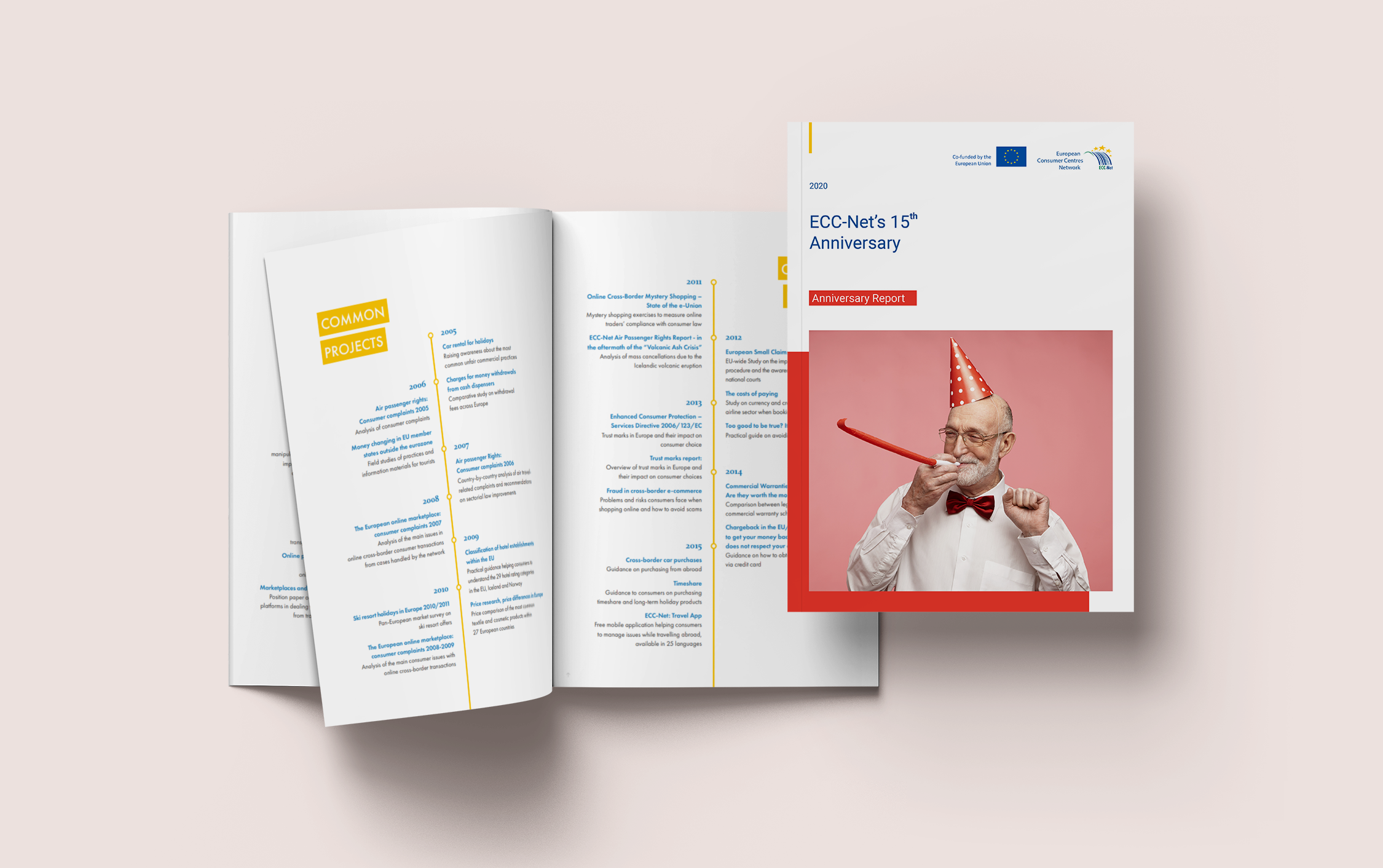 Image of ECC-Net's anniversary report (2020)