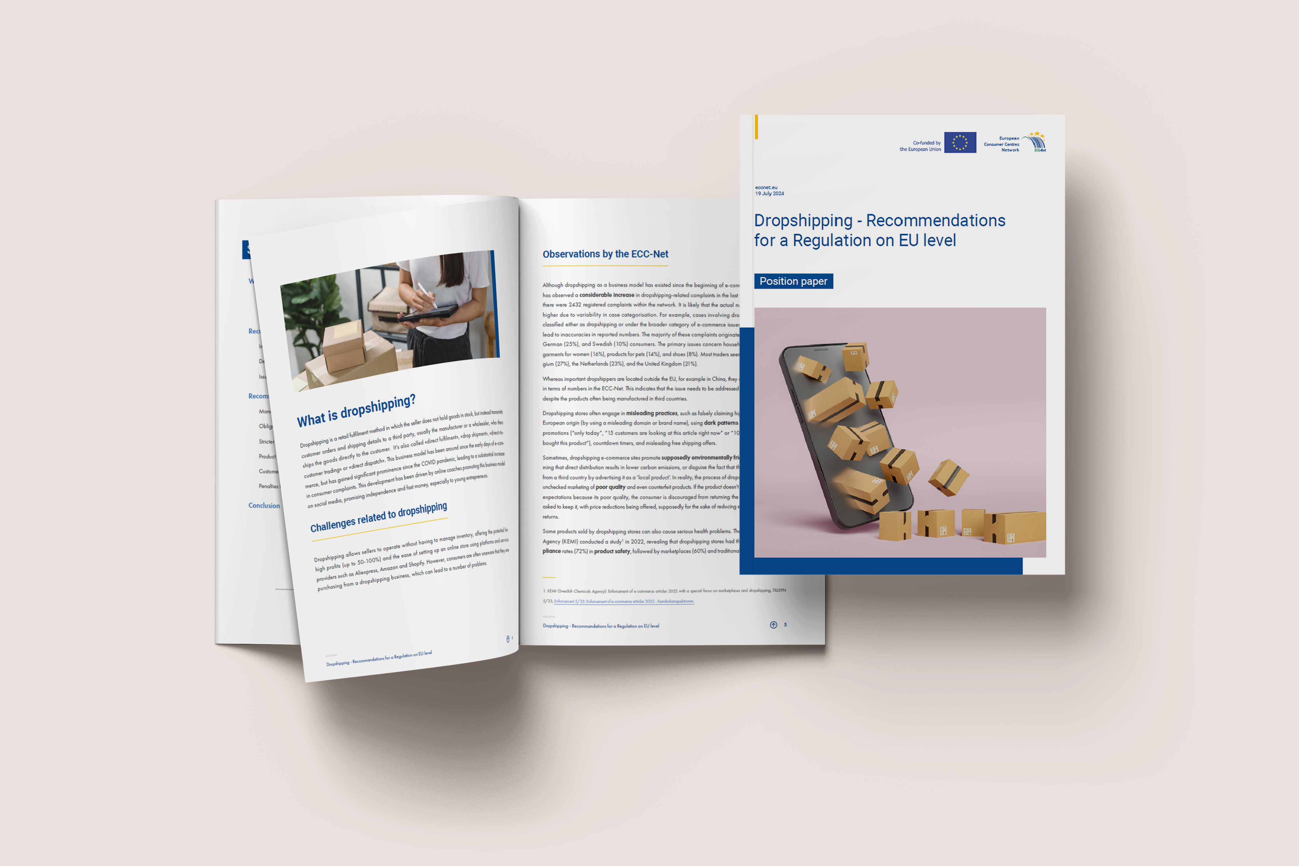 Dropshipping position paper cover