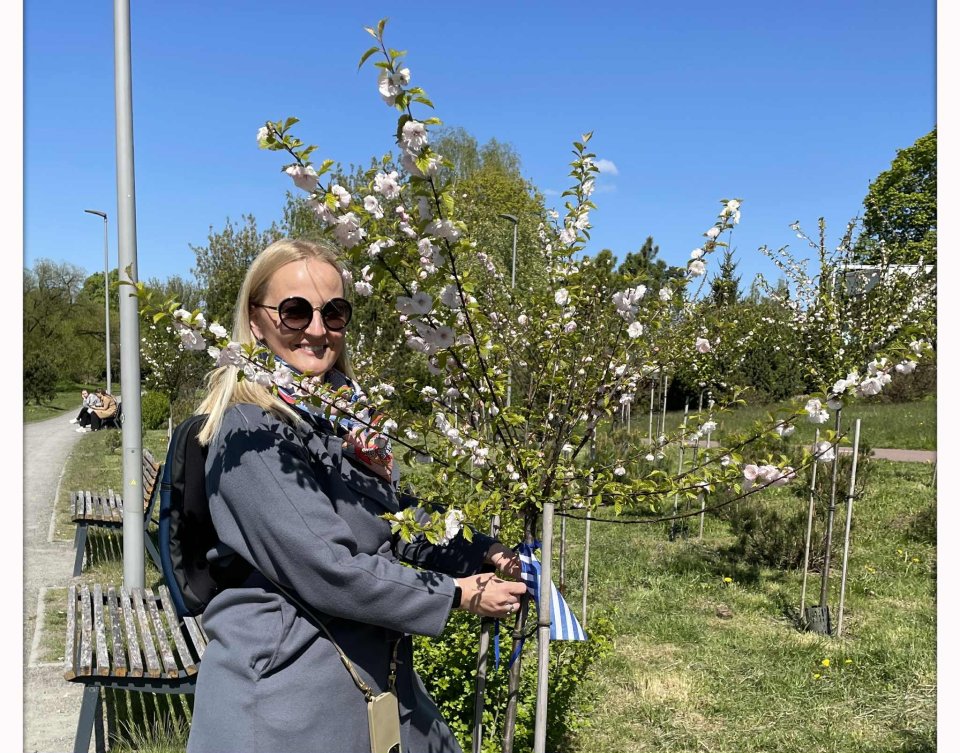 Planting a tree in the Almond Park