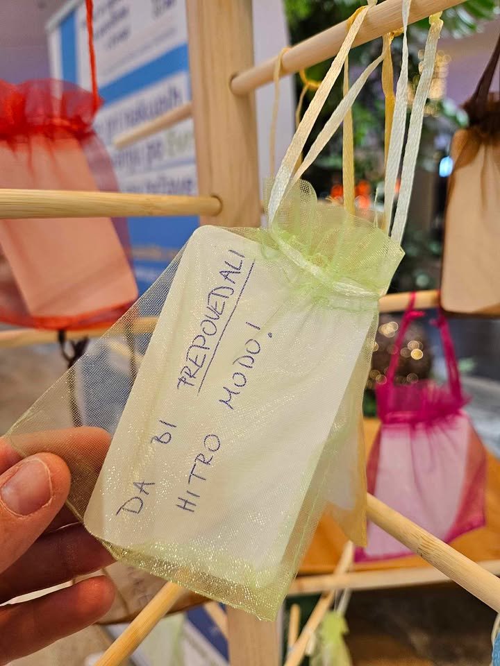 ECC Slovenia highlight