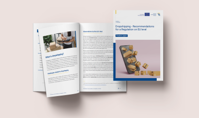 Dropshipping position paper cover